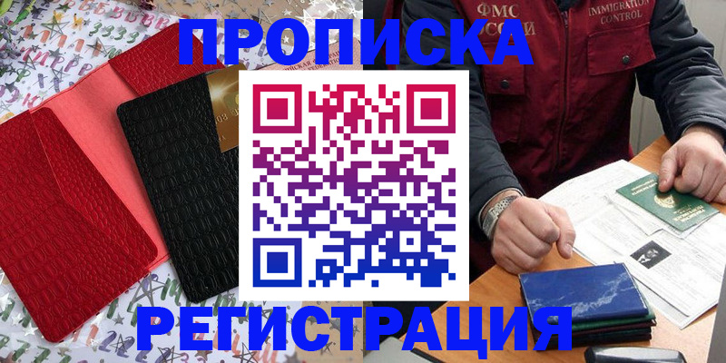 прописка штамп в Курчалом